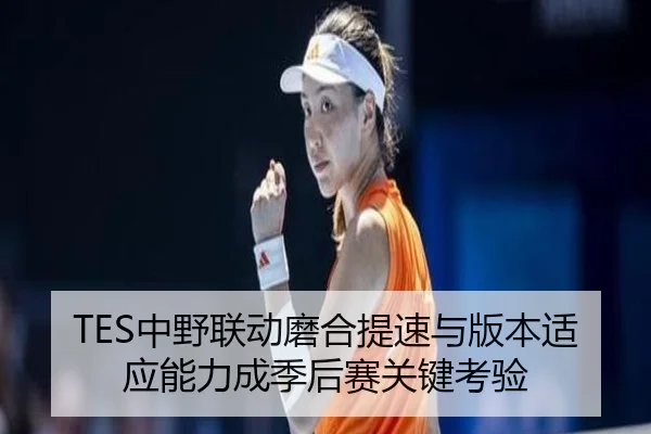 TES中野联动磨合提速与版本适应能力成季后赛关键考验